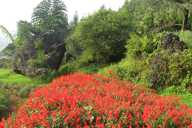 2-Day Trekking Tour from Sapa to Y Linh Ho, Lao Chai, Ta Van, Giang Ta Chai & Su Pan